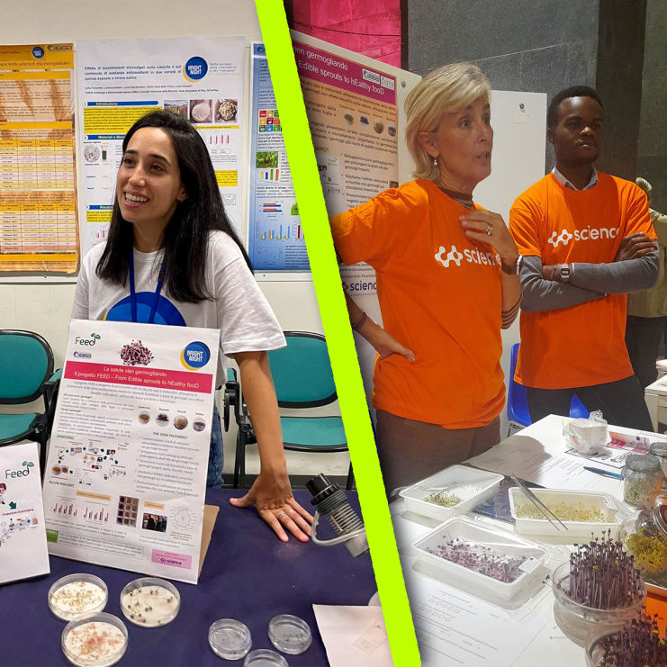 Project FEED's Presence at Bright Night Event! 